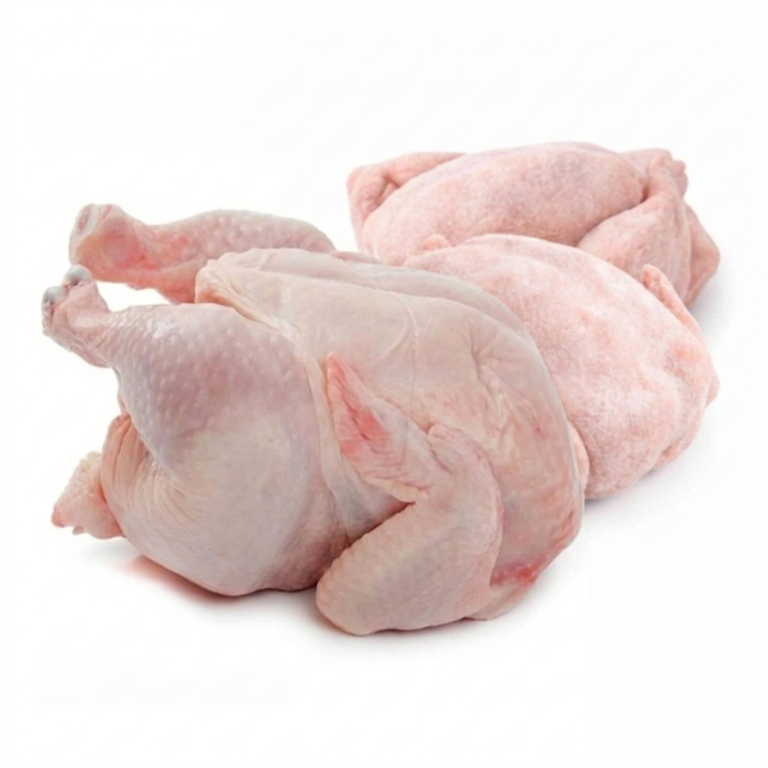 Halal Frozen Whole Chicken Wholesale Supplier