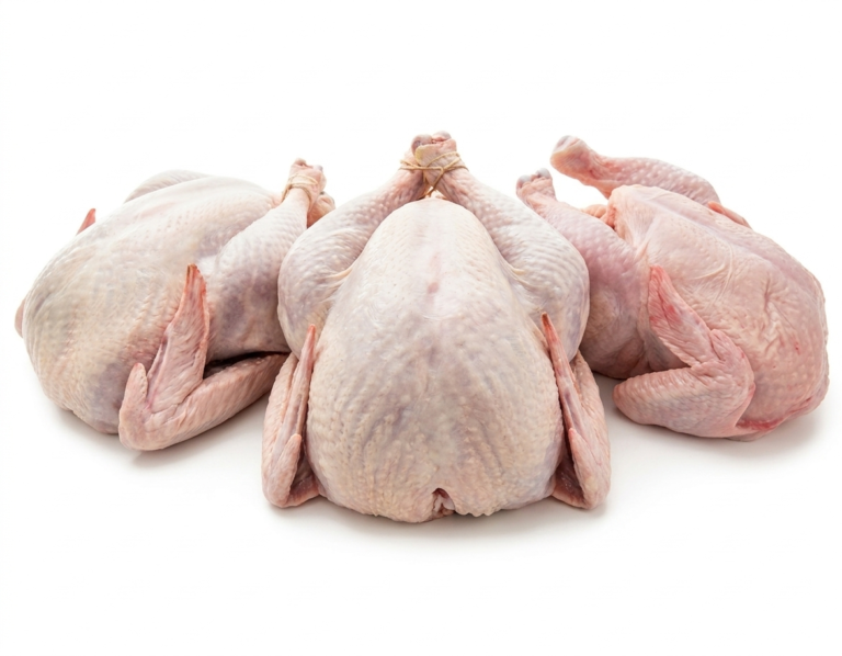 Halal Frozen Whole Turkey Wholesale Supplier Distributor
