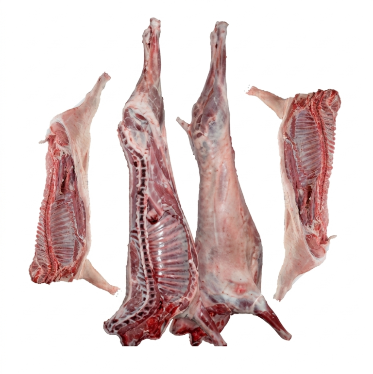 Frozen Buffalo Half Carcass Wholesale Supplier