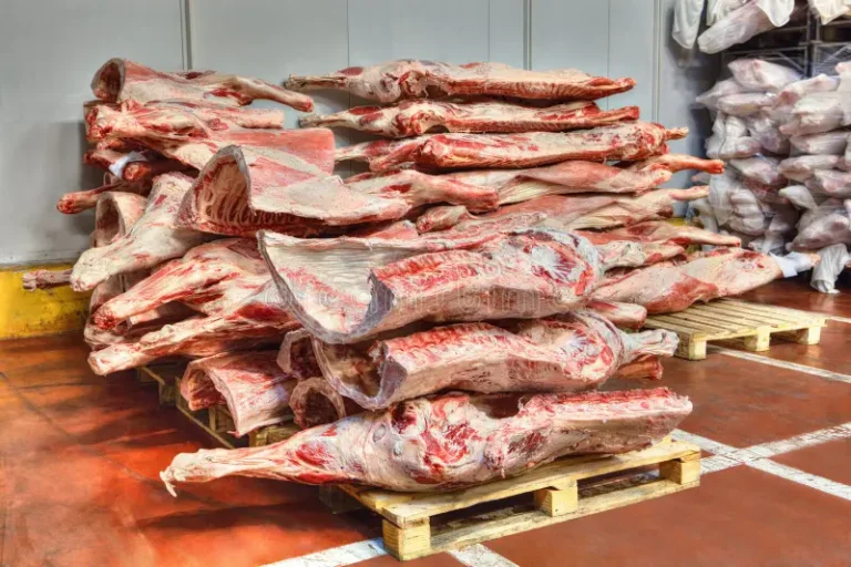 frozen-stocks-red-meat-cold-warehouse-beef-carcasses-stacked-pallets-storage-81695146